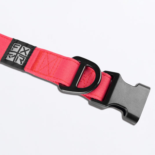 Dog_Collar_RazzBlack_SKU_243600-_2810_Extra3