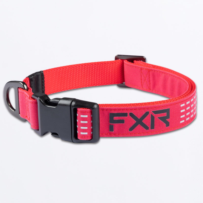 Chargez l'image dans la visionneuse de la galerie, Dog_Collar_RazzBlack_SKU_243600-_2810_Front
