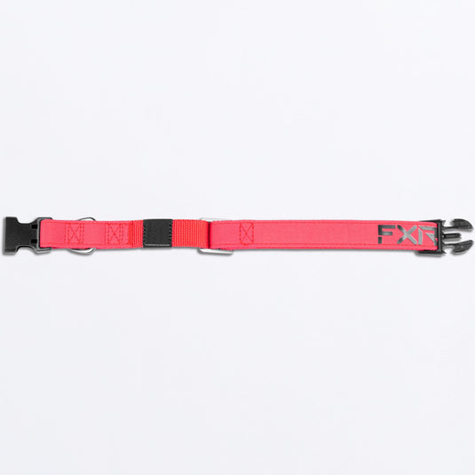 Dog_Collar_RazzBlack_SKU_243600-_2810_Extra1