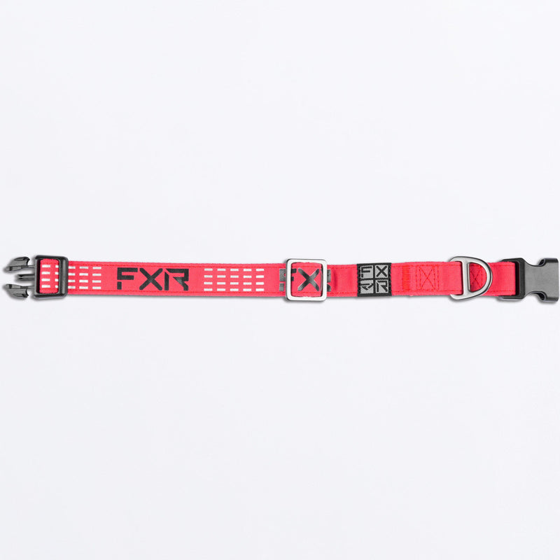 Chargez l'image dans la visionneuse de la galerie, Dog_Collar_RazzBlack_SKU_243600-_2810_Extra
