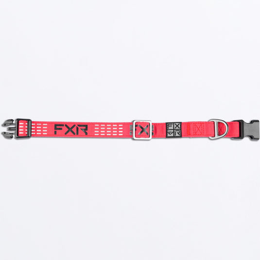 Dog_Collar_RazzBlack_SKU_243600-_2810_Extra